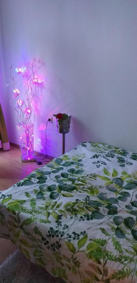 Aphrodite Rose Sunny Beach Dış mekan fotoğraf