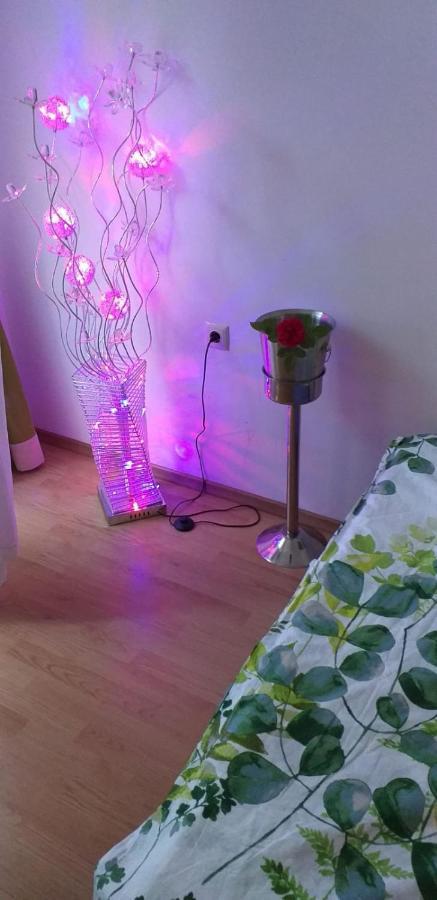 Aphrodite Rose Sunny Beach Dış mekan fotoğraf